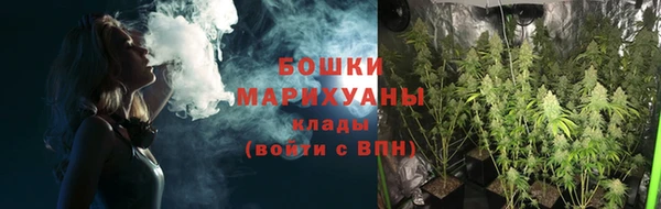 spice Кинешма