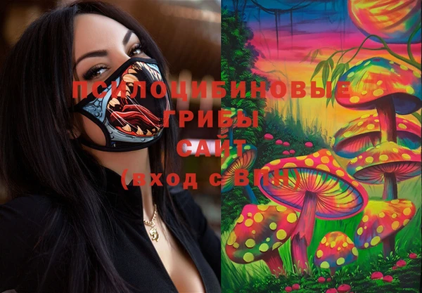 spice Кинешма
