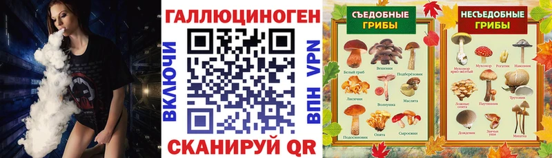 сколько стоит  Ковдор  Галлюциногенные грибы Psilocybe 